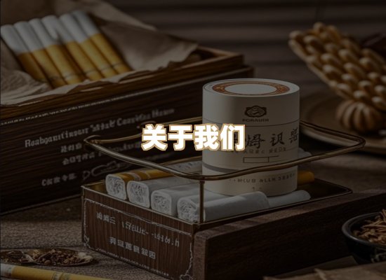 关于云歌烟网